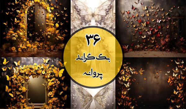 عکس پروانه طلایی برای تصویر زمینه