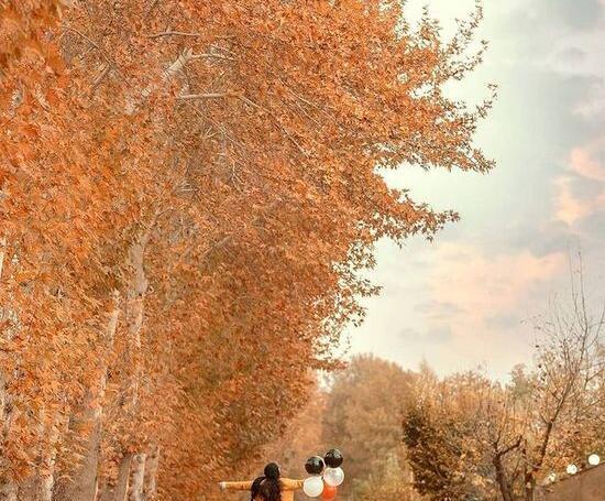 تنهایی عکس پروفایل غمگین بدون متن