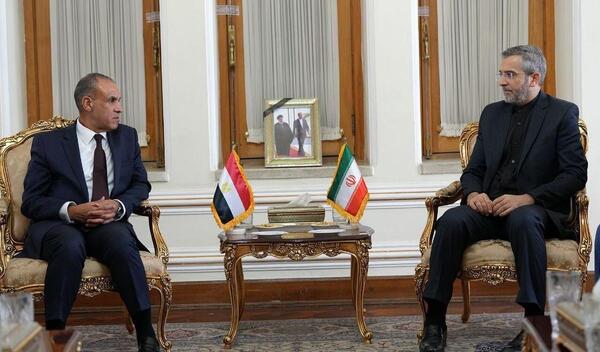 عکس سفیر ایران در مصر