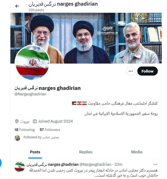 عکس سفیر ایران در مصر
