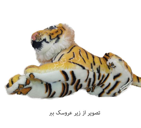 عکس بچه ببر ناز