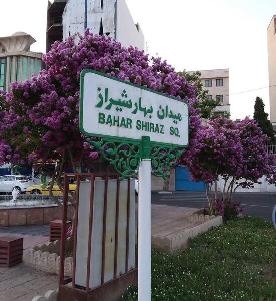 عکس فصل بهار شیراز