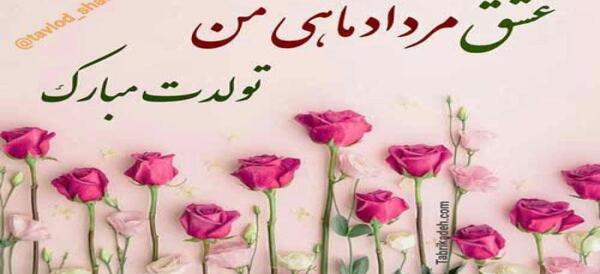 عکس تولد پسرم مردادی