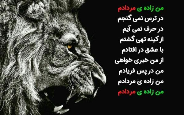 عکس تولد پسرم مردادی