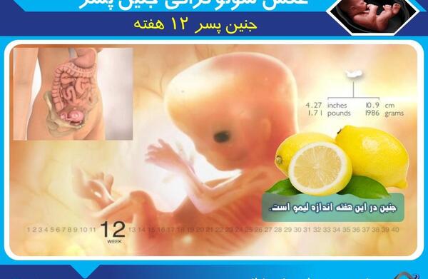 عکس رنگی از صورت جنین