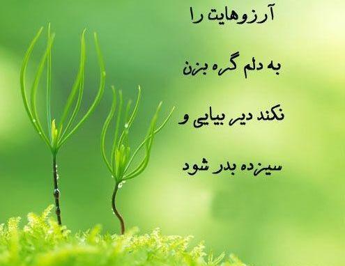 عکس طبیعت برای سیزده بدر