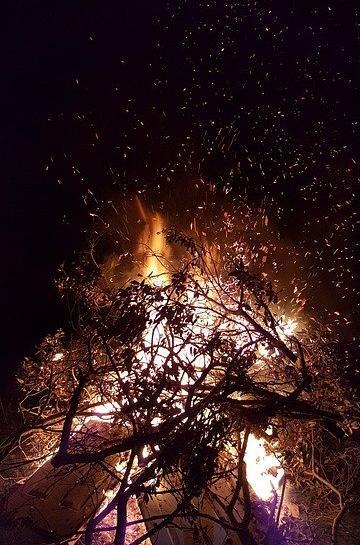 عکس از آتش در شب
