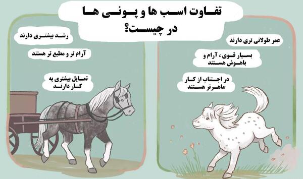 عکس اسب های پونی کوچولو