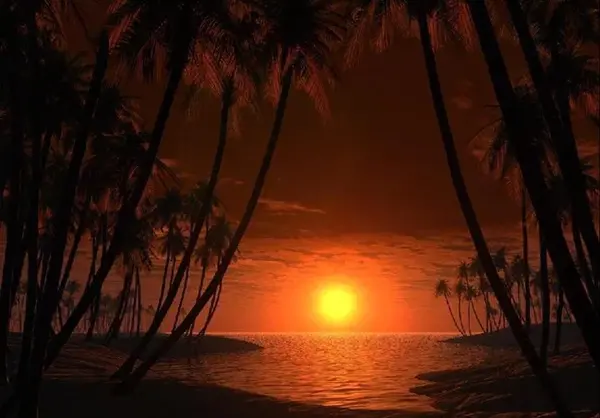 عکس پروفایل غروب آفتاب