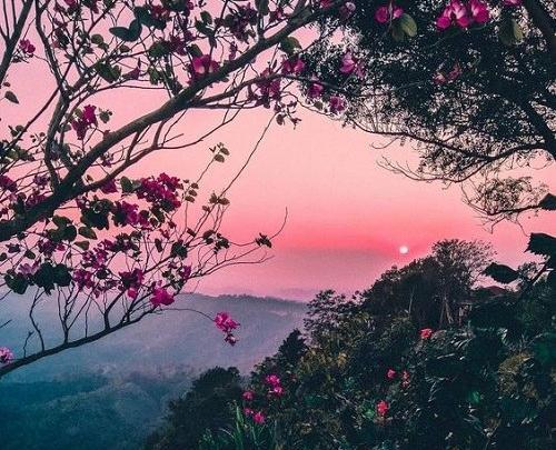 واتساپ پرانرژی عکس طبیعت برای پروفایل