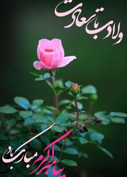 عکس برای تبریک تولد حضرت محمد