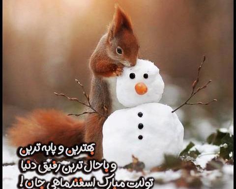 قشنگترین عکس تولدم مبارک اسفند ماهی