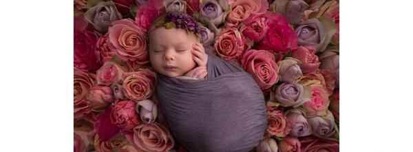 عکس گل برای تولد نوزاد دختر