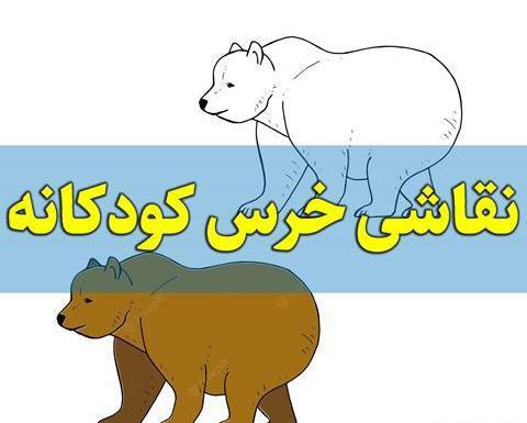عکس بچه خرس کیوت