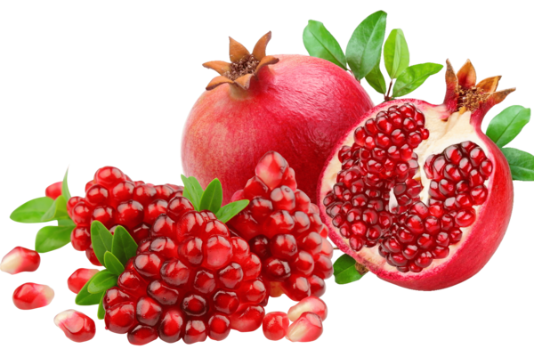 عکس گل انار میوه
