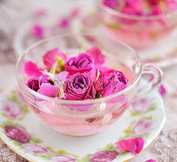 عکس گل غنچه زیبا