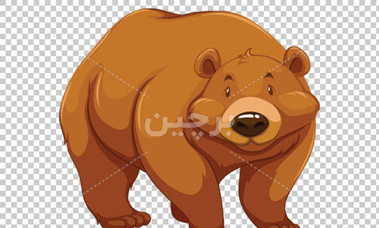 عکس تصویر زمینه خرس قهوه ای