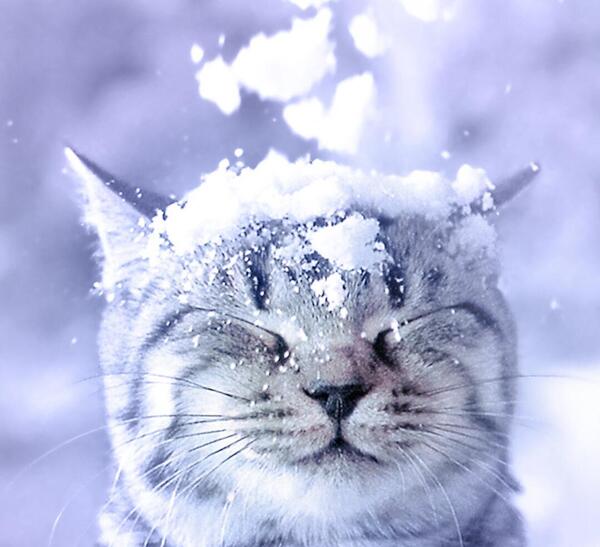 عکس تصویر زمینه زمستانی دخترانه