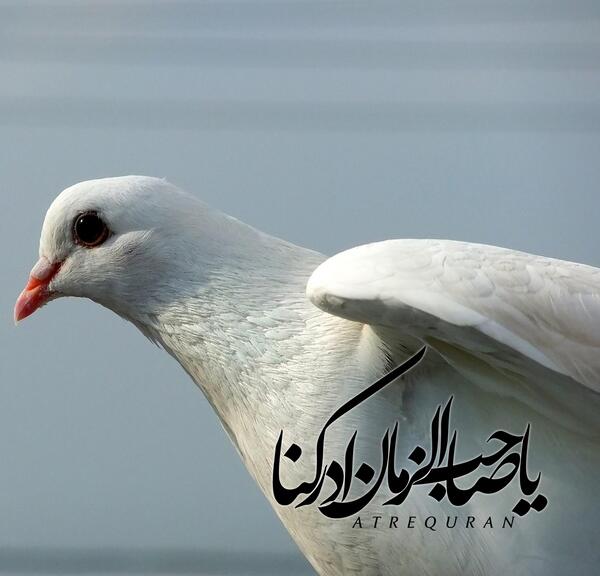 عکس پروفایل از یا صاحب الزمان