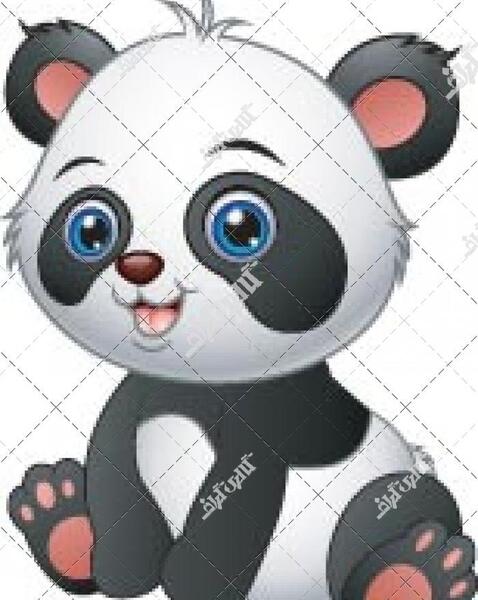 عکس بچه پاندای بامزه