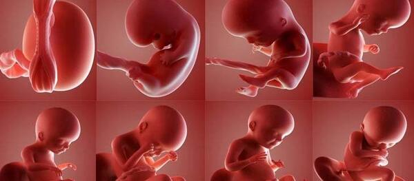 عکس بچه 6 ماهه در شکم مادر