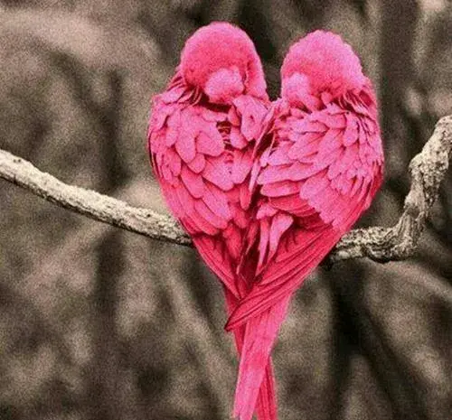عکس پروفایل دخترونه قلب صورتی
