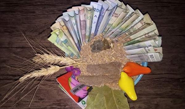 عکس گندم زار برای جذب ثروت