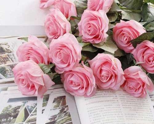 عکس گل رز قشنگ برای پروفایل