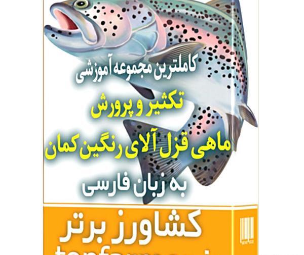 عکس بچه ماهی قزل آلا