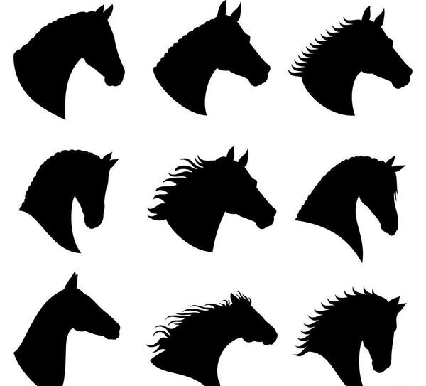 عکس تاتو اسب روی دست