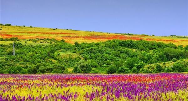 عکس منظره بهاری زیبا