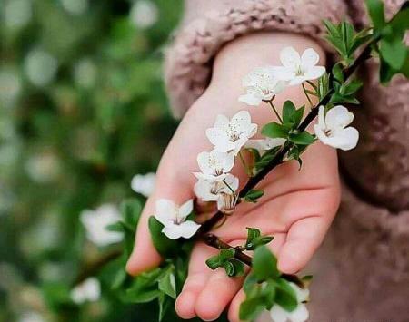 عکس زیبای فصل بهار برای پروفایل