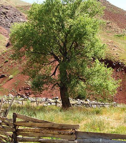 عکس های طبیعت طالقان