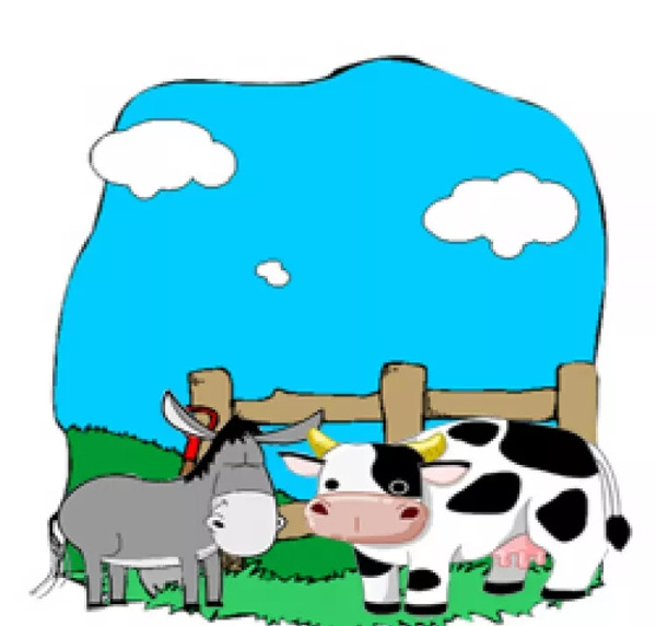 عکس بچه گاوها