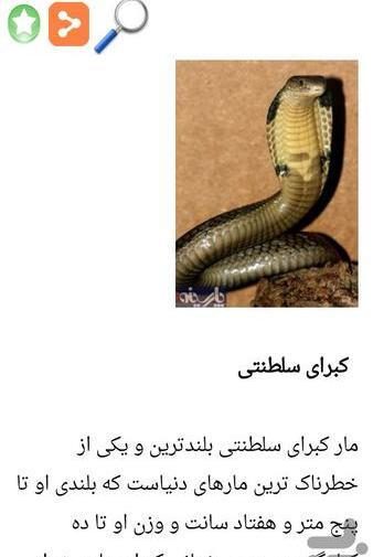 عکس مار ترسناک عکس مار ترسناک