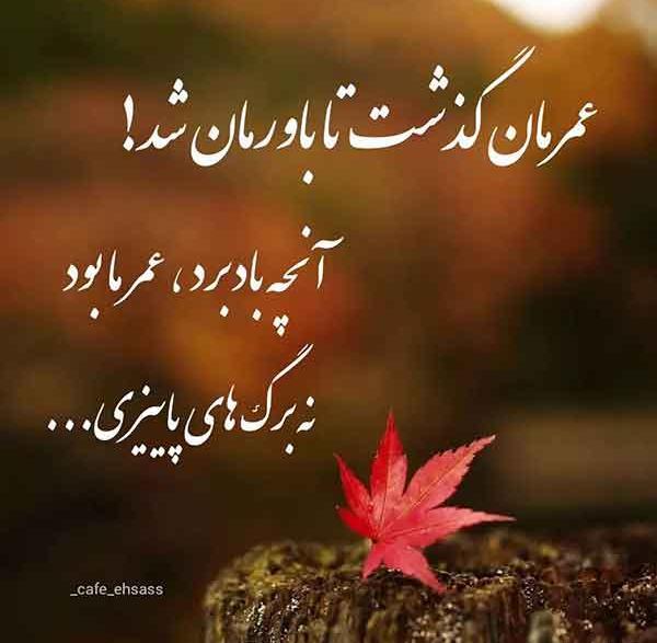 عکس پروفایل اموزنده
