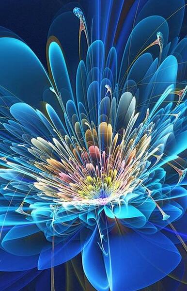 عکس تصویر زمینه گل آبی
