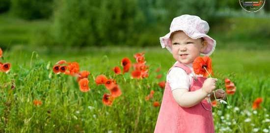 دانلود عکس گل خرزهره