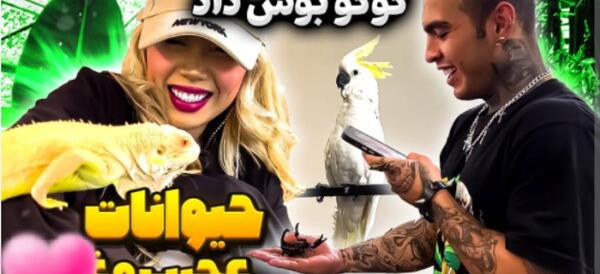 عکس تولد آرزو صادقی
