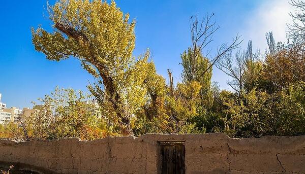 عکس از طبیعت پاییزی تبریز