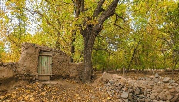 عکس از طبیعت پاییزی تبریز