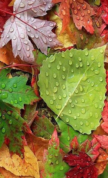 عکس خوب برای تصویر زمینه گوشی