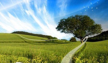 عکس طبیعت شگفت انگیز جهان