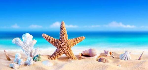 عکس تصویر زمینه ساحل دریا