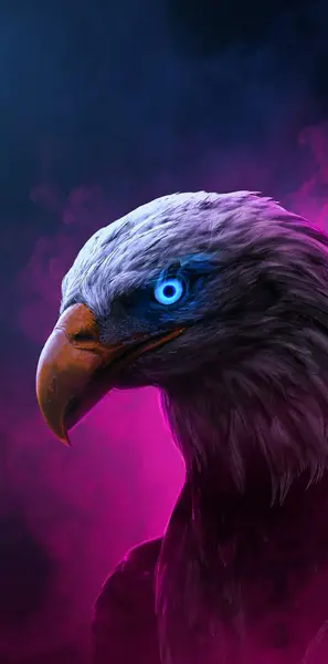 باکلاس پسرانه عکس تصویر زمینه باحال و شیک