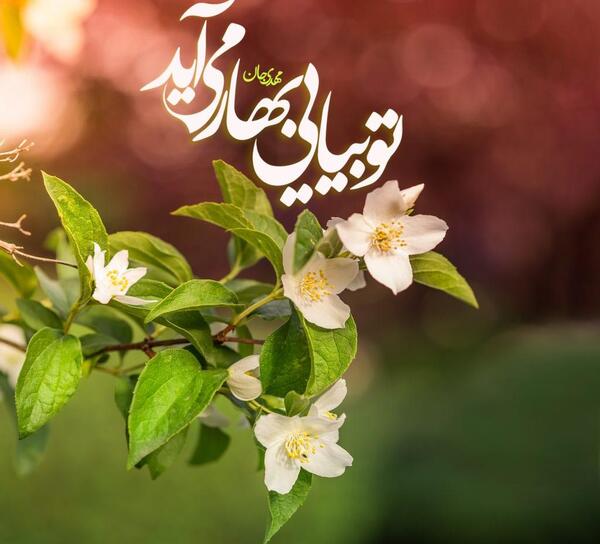 عکس نوشته امدن بهار
