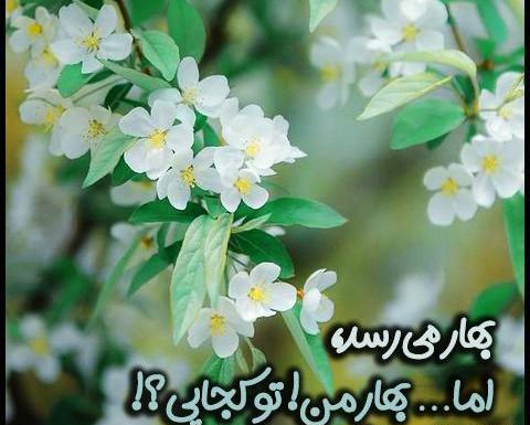 عکس نوشته امدن بهار