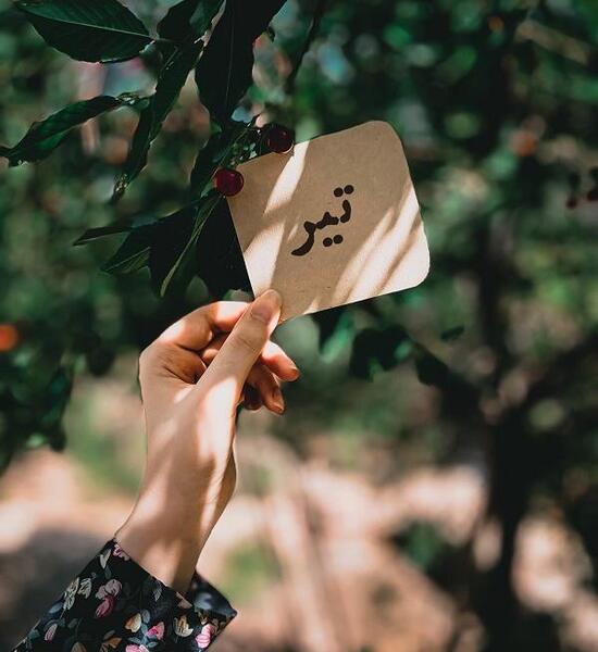 عکس پیام تبریک تولد همسر تیر ماهی