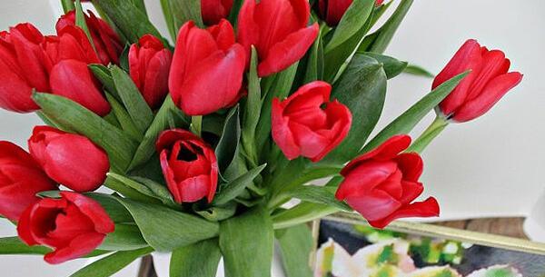 عکس گل های بهاری جدید