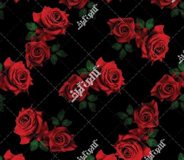 عکس تصویر زمینه گل رز قرمز